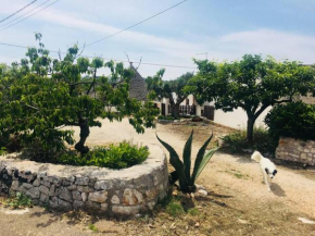 Trullo House Locorotondo